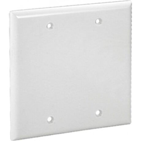 2-Gangs Blank (Box Mount) Standard Size Lexan Wallplate OP23-I